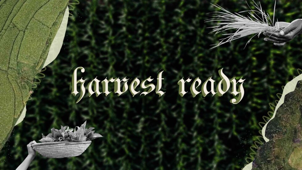  King's Park International Church